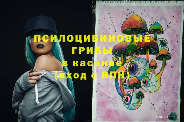 трава Армянск