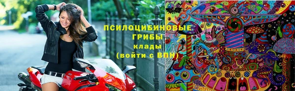 трава Армянск