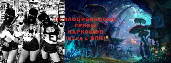эйфоретик Аркадак