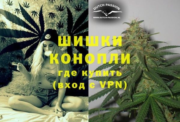 эйфоретик Аркадак