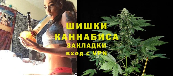 эйфоретик Арсеньев