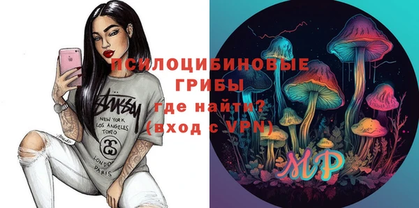 эйфоретик Арсеньев