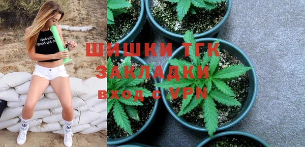 эйфоретик Арсеньев
