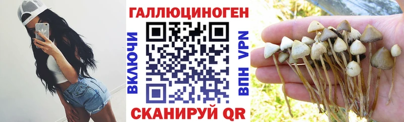 сайты даркнета какой сайт  blacksprut сайт  Спас-Деменск  Псилоцибиновые грибы Cubensis 